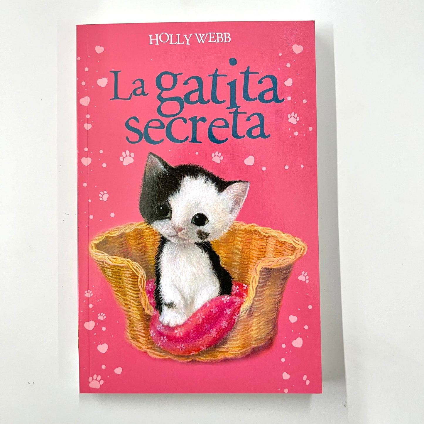 The Secret Kitten