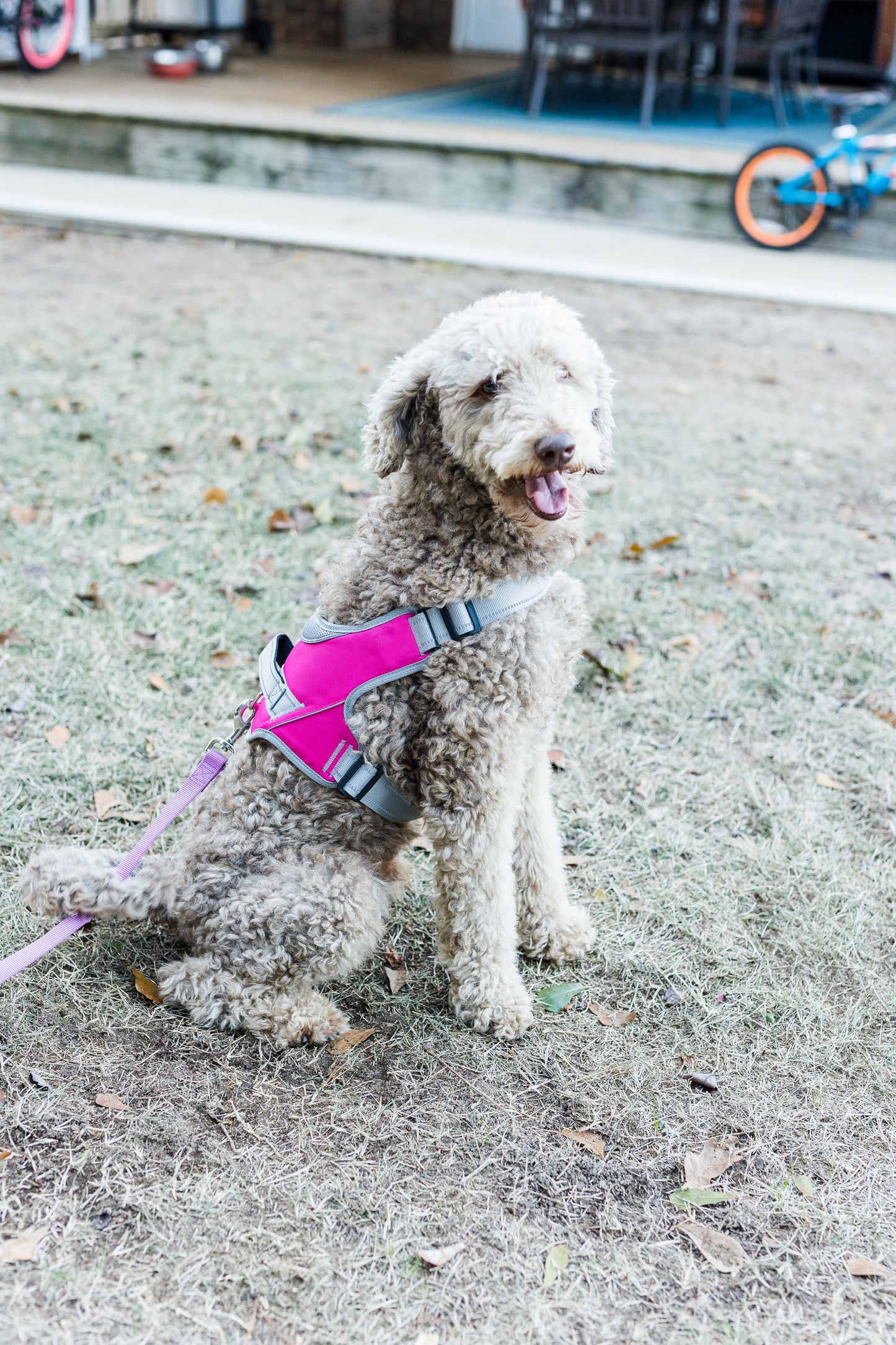 Doggy Tales: Patented Classic Hart Harness Hot Pink
