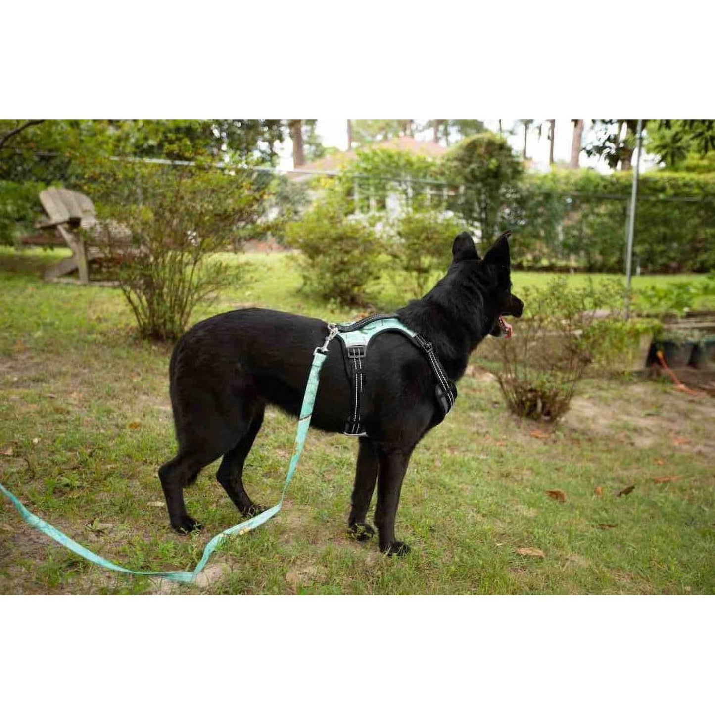 Doggy Tales: Realtree 2X Sport Harness Sea Glass