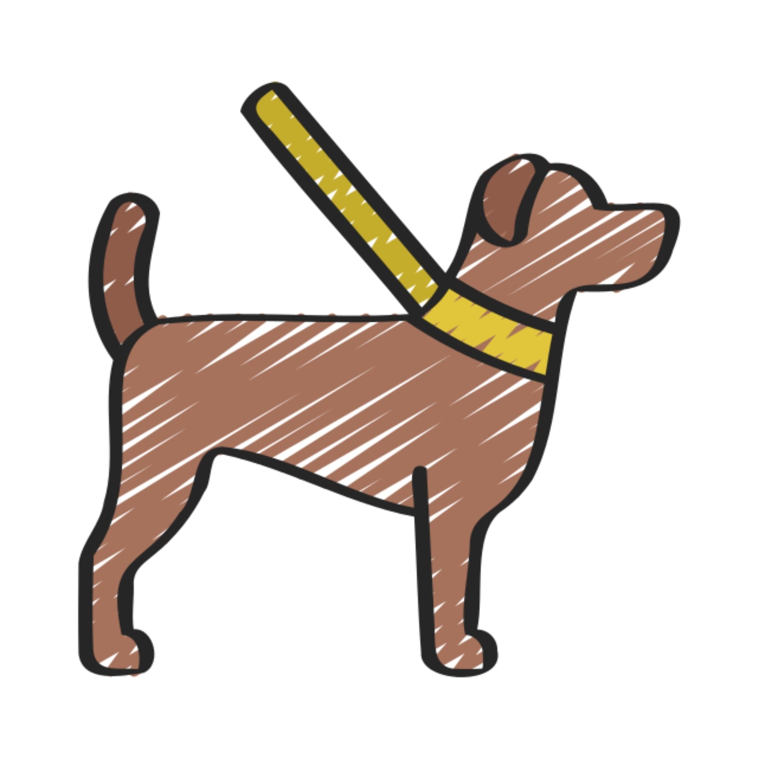 Accesorios para Mascotas