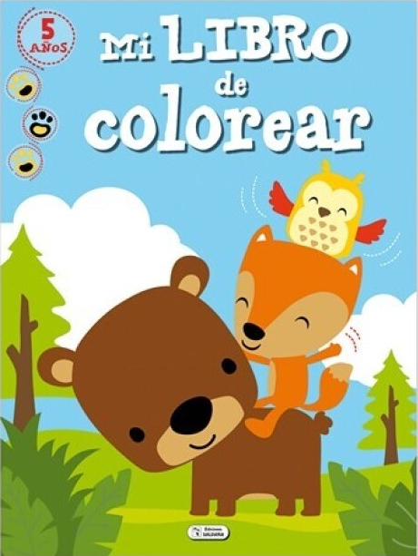 LIBRO DE PINTAR: GRAN LIBRO DE COLOREAR
