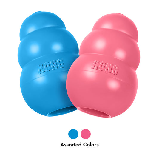 KONG Puppy Large: Pink & Blue