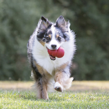 KONG Classic Xtra Large