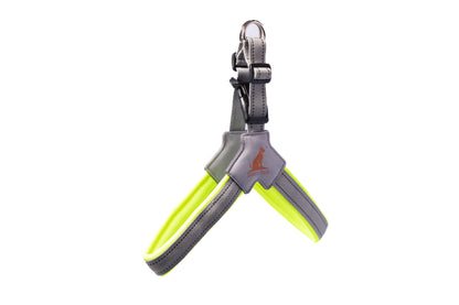 Doggy Tales: Step In V Harness Lime