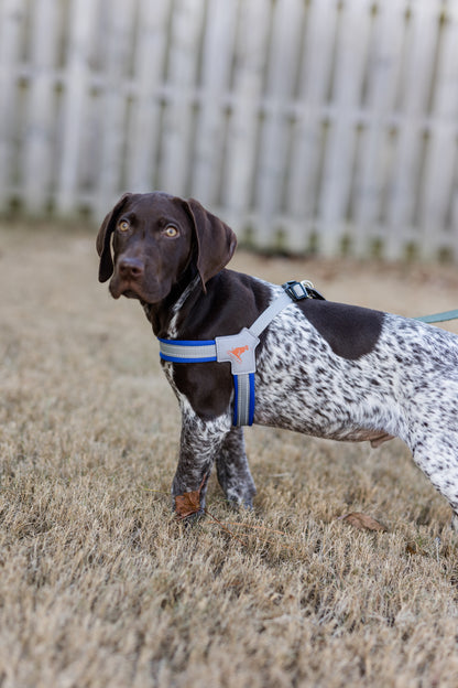 Doggy Tales: Step In V Harness Navy