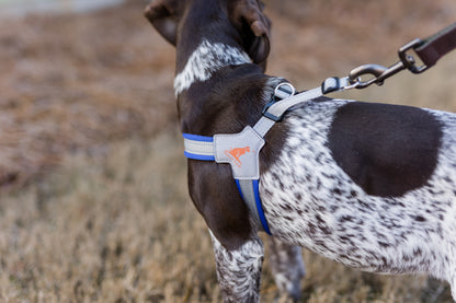 Doggy Tales: Step In V Harness Navy