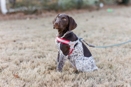 Doggy Tales: Step In V Harness Red