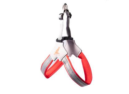 Doggy Tales: Step In V Harness Red