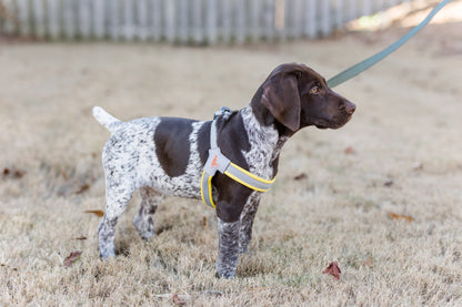 Doggy Tales: Step In V Harness Yellow