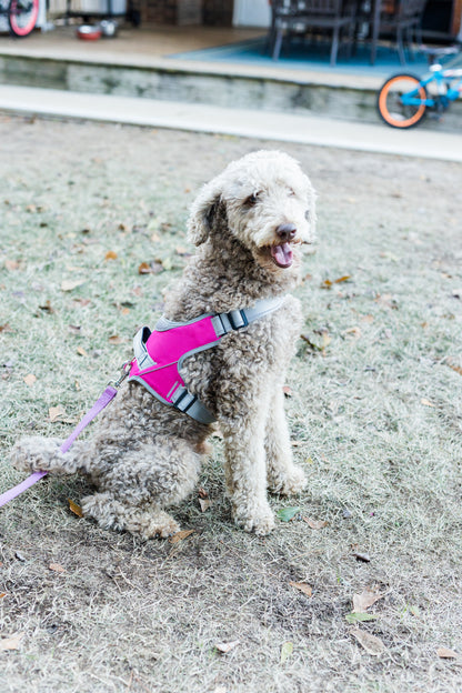 Doggy Tales: Patented Classic Hart Harness Hot Pink