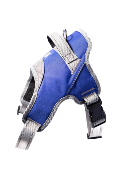 Doggy Tales: Patented Classic Hart Harness Navy