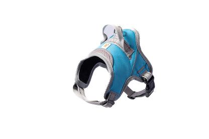 Doggy Tales: Patented Classic Hart Harness Turquoise