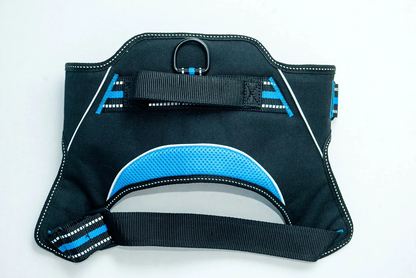 Doggy Tales: Patented Hart Harness Blue