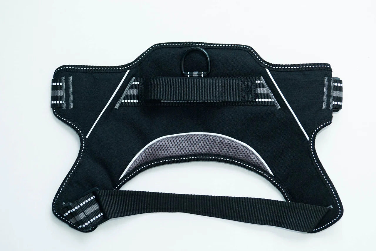 Doggy Tales: Patented Hart Harness Gray