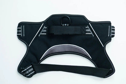 Doggy Tales: Patented Hart Harness Gray