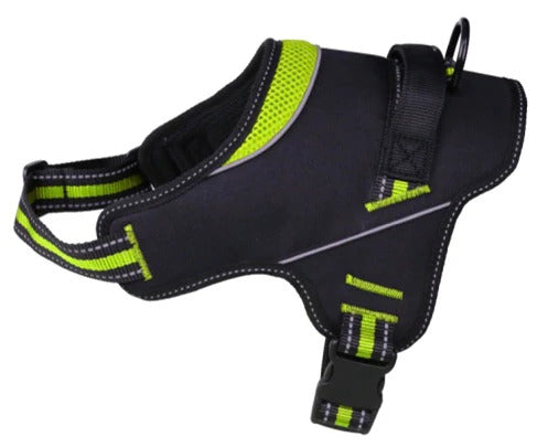Doggy Tales: Patented Hart Harness Lime