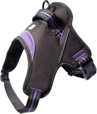 Doggy Tales: Patented Hart Harness Purple