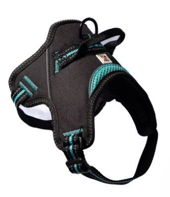 Doggy Tales: Patented Hart Harness Turquoise