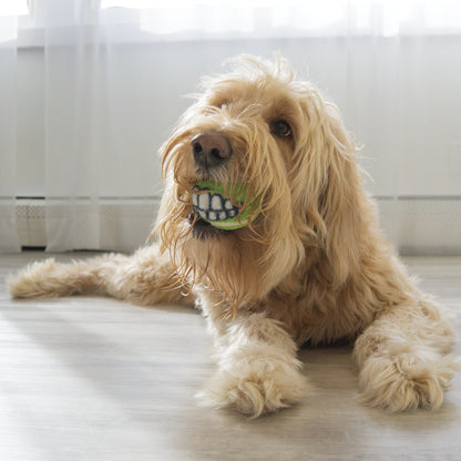 KONG Grinz by Rogz Small Variety 3-pk