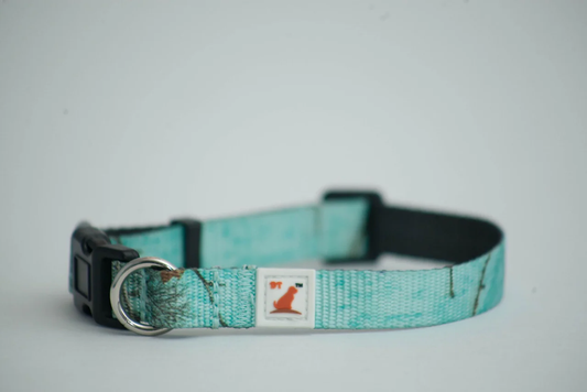 Doggy Tales: Realtree Adjustable Dog Collar Sea Glass