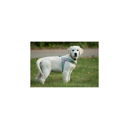 Doggy Tales: Realtree Step In V Harness Sea Glass