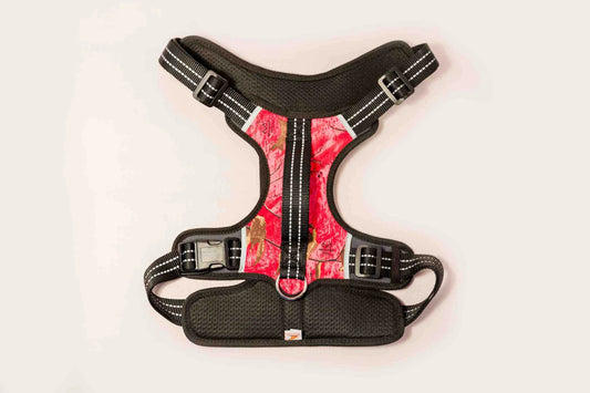 Doggy Tales: Realtree 2X Sport Harness Paradise Pink