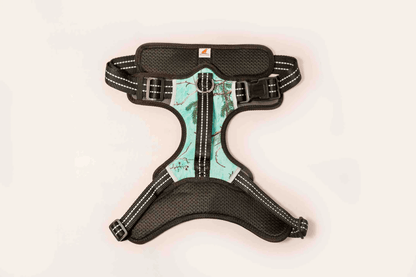 Doggy Tales: Realtree 2X Sport Harness Sea Glass