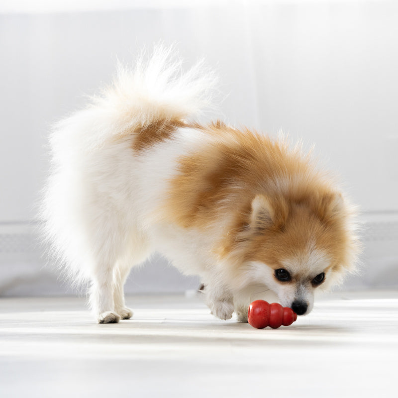 KONG Classic Xtra Small