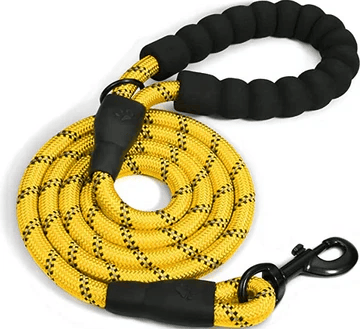 Doggy Tales: Training Leash - 15 Ft Braided Rope