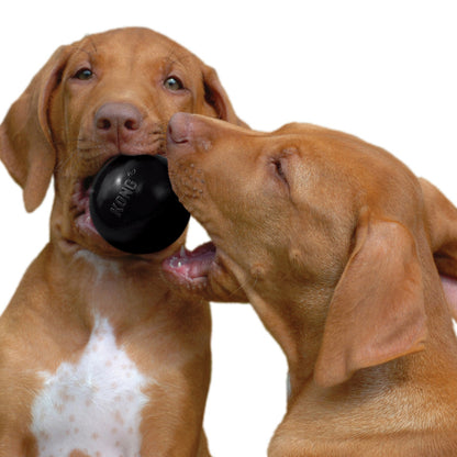 KONG Extreme Ball Medium/Large