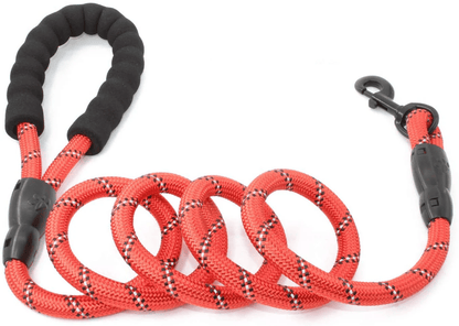 Doggy Tales: Training Leash - 15 Ft Braided Rope